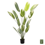 ΔΙΑΚΟΣΜΗΤΙΚΟ ΣΥΝΘΕΤΙΚΟ ΦΥΤΟ HM7997 CALATHEA ΣΕ ΓΛΑΣΤΡΑ 140Υεκ.