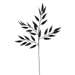 ΧΡΙΣΤΟΥΓΕΝΝΙΑΤΙΚΟ ΛΟΥΛΟΥΔΙ ΚΛΑΔΙΑ ΜΑΥΡΑ 84 ΕΚ