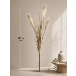 Τεχνητό Διακοσμητικό Κλαδί Pampas - Y150cm - Image 2