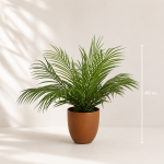 Τεχνητό Φυτό KENTIA REAL TOUCH - Υ40ΕΚ. - Image 2