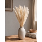 Αποξηραμένα Pampas Φυσικό Εκρού ~15τμχ  Y75-80cm
