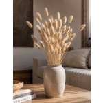 Αποξηραμένα Bunny Tails Natural – 60 Τεμάχια Υ40–50εκ.