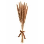 Αποξηραμένα Pampas Φυσικό Καφέ  ~15τμχ  Y55cm - Image 2