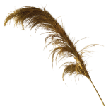 Αποξηραμένο Κλαδί Pampas – 1 Τεμάχιο Υ70–120 εκ. - Image 2