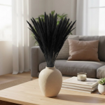 Αποξηραμένο Pampas Grass Μαύρο – Υ60cm (Συσκευασία 15 Τεμαχίων) - Image 2