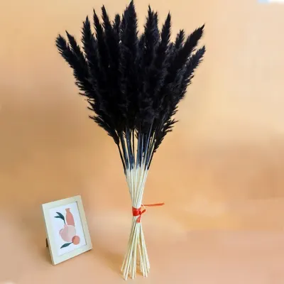clipboard_paste_1784272326779 Αποξηραμένο Pampas Grass Μαύρο – Υ60cm (Συσκευασία 15 Τεμαχίων) - Image 1